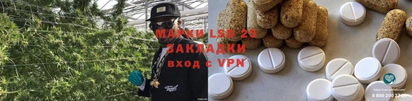 шишки Беломорск