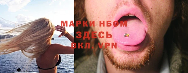 шишки Беломорск