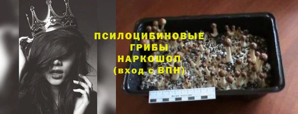 твердый Белокуриха