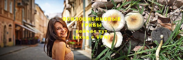 шишки Беломорск