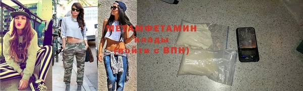 шишки Беломорск
