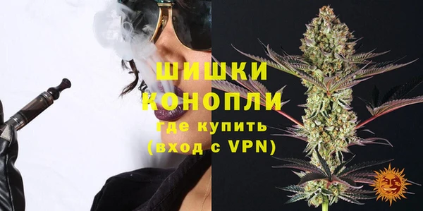 шишки Беломорск