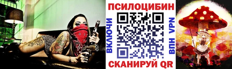 Псилоцибиновые грибы мицелий  hydra ONION  Мглин  закладки 